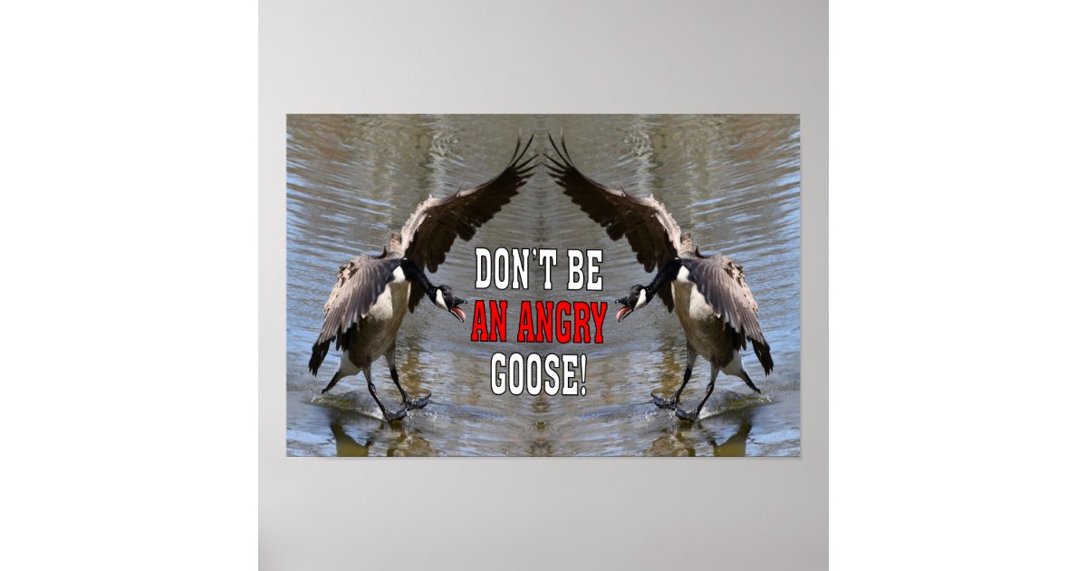 Funny Don't Be An Angry Goose! Poster Zazzle