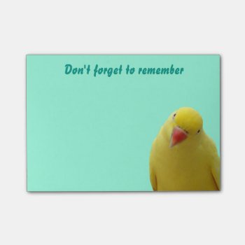 Funny "don't Forget" Bird Sticky Notes by Siberianmom at Zazzle