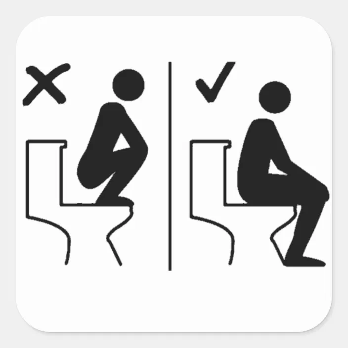 Funny Don't Stand on Toilet Sticker | Zazzle.com