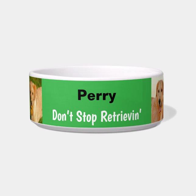 Funny Don't Stop Retrievin' Green Bowl (Front)