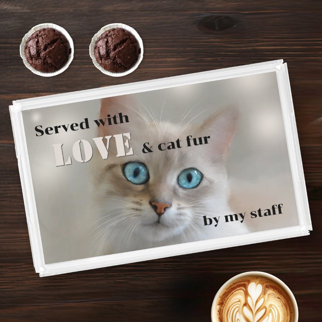Funny Dream Kitty Cute Animal Acrylic Tray (Funny acrylic tray featuring a fine art painting of a dreamy kitty.)