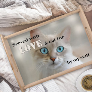 Funny Dream Kitty Cute Animal Serving Tray