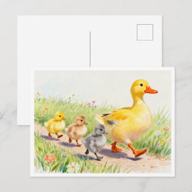 Funny duck and ducklings postcard (Front/Back)
