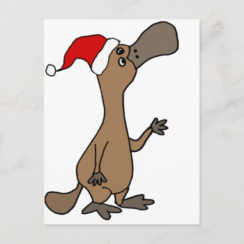 Funny Duck_billed Platypus in Santa Hat Christmas Holiday Postcard