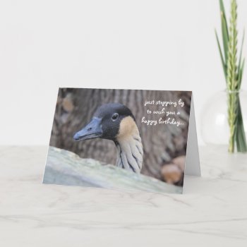 Funny Duck Birthday Card  Hope Your Day Is Ducky! Card by PicturesByDesign at Zazzle