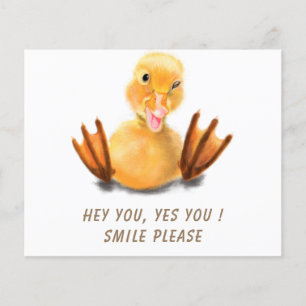 Funny Duck Flyers