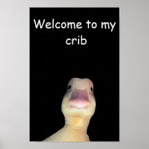 Funny Duck Meme: Welcome to My Crib Duck