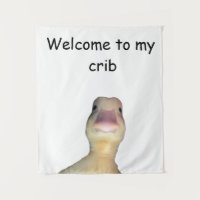 Funny Duck Meme: Welcome to My Crib Duck