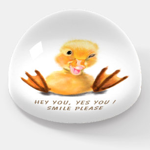 Funny Duck Paperweight