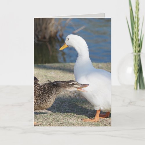 Funny Ducks Fathers Day Card