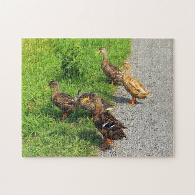 Funny Ducks Jigsaw Puzzle (Horizontal)