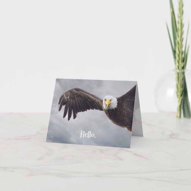 Funny Eagle Hello All Occasion Blank Holiday Card (Front)