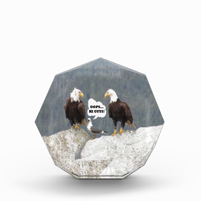 Funny Eagles and Seagull Award (Front)