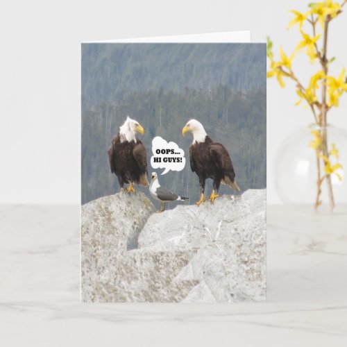 Funny Eagles and Seagull Get Well Card