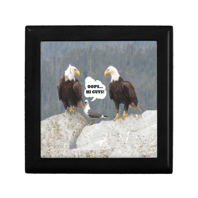 Funny Eagles and Seagull Keepsake Box (Front)