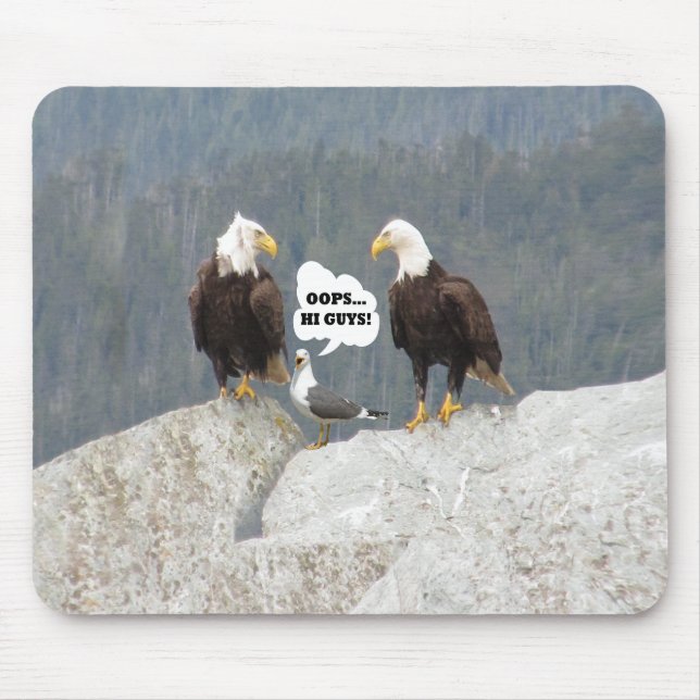 Funny Eagles and Seagull Mouse Pad (Front)