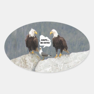 Funny Eagles and Seagull Oval Sticker