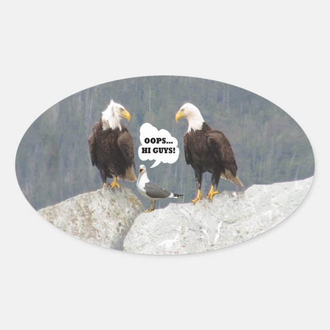 Funny Eagles and Seagull Oval Sticker (Front)