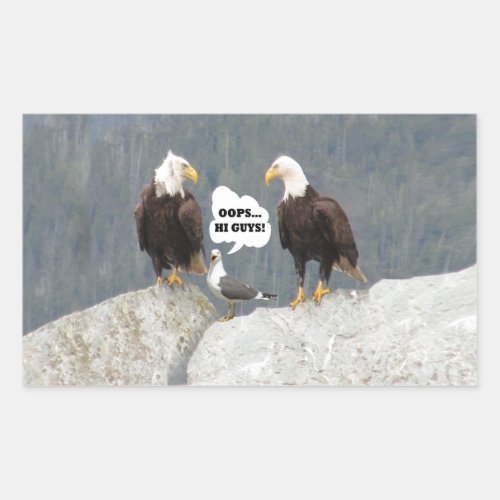 Funny Eagles and Seagull Rectangular Sticker
