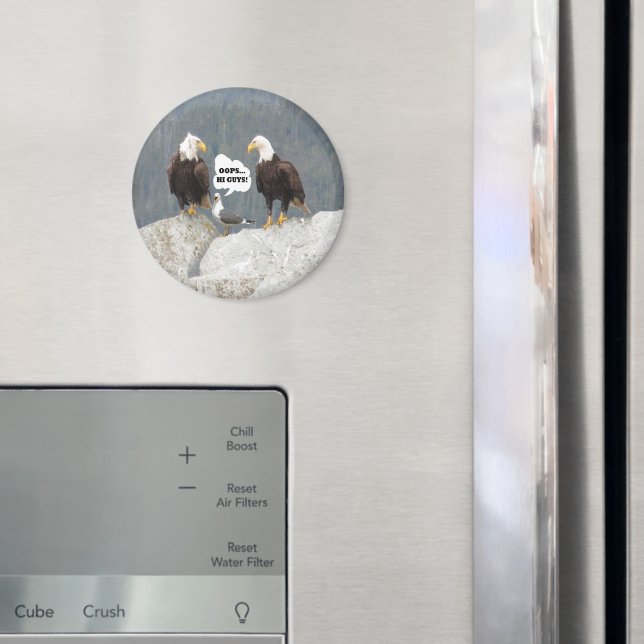 Funny Eagles and Seagull Round Magnet (In Situ (Fridge))