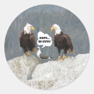 Funny Eagles and Seagull Round Sticker