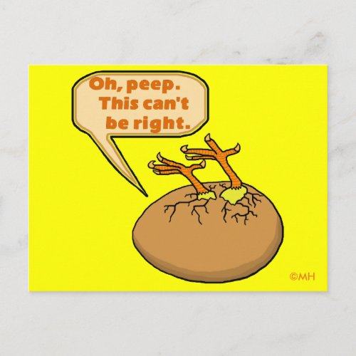 Funny Easter Chick in Egg Holiday Postcard