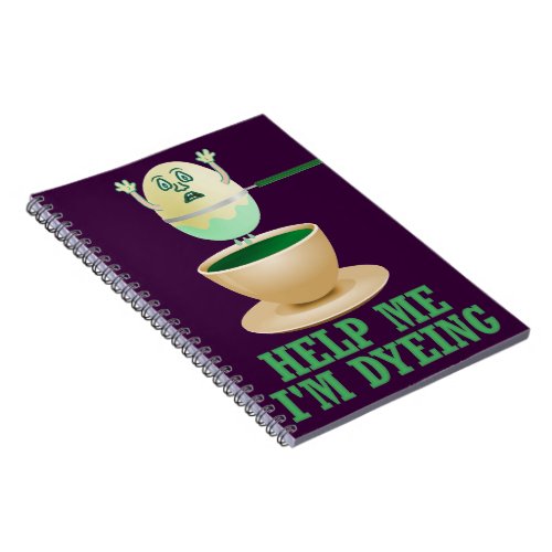 Funny Easter Egg Dyeing Notebook