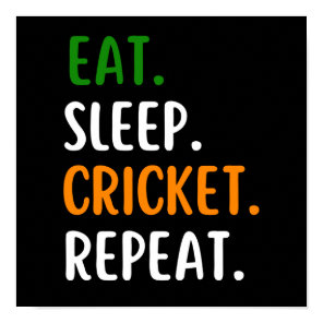 Funny Eat Sleep Cricket Repeat Poster