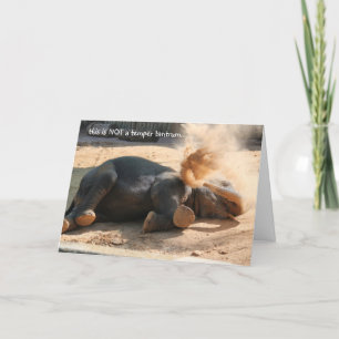 Funny Elephant Belated Birthday Card