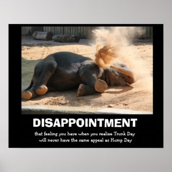 Funny Elephant  Disappointment (not Hump Day) Poster by PicturesByDesign at Zazzle