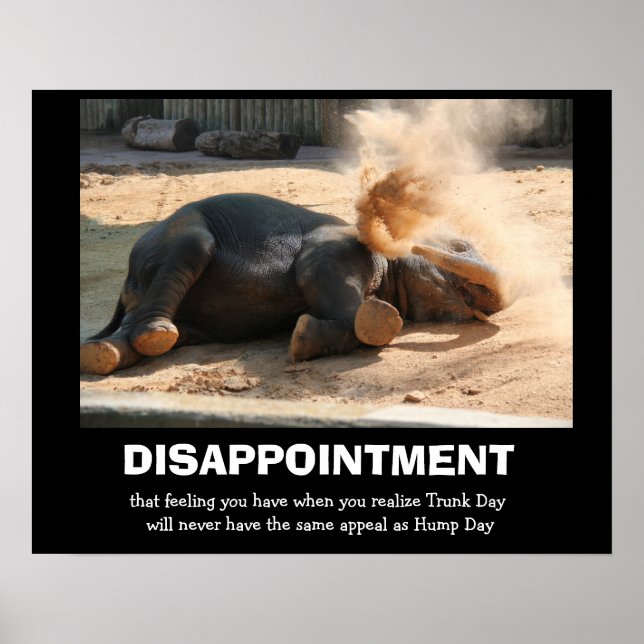 Funny Elephant, DISAPPOINTMENT (not hump day) Poster (Front)