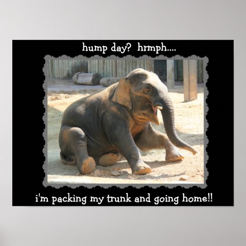 Funny Elephant Hump Day Poster hrmph
