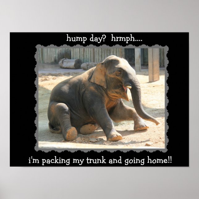 Funny Elephant Hump Day Poster (hrmph!!) (Front)