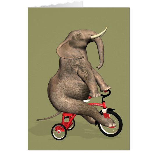 Funny Elephant Riding A Tricycle Card