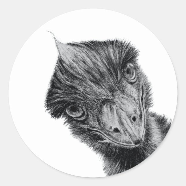 Funny Emu Face Sticker | Black and White Bird Art (Front)