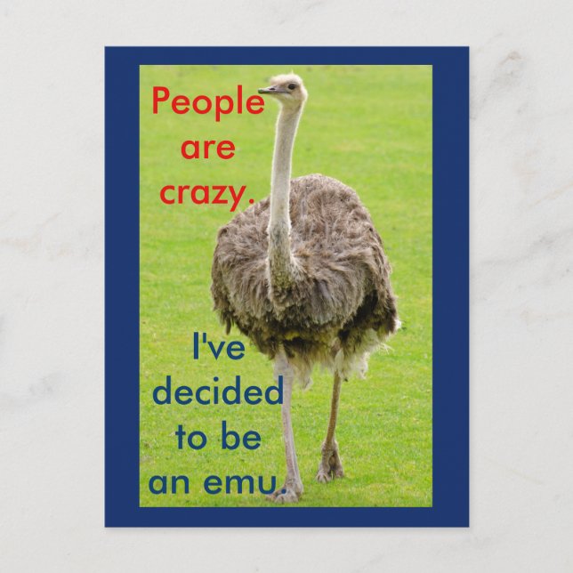 Funny Emu Postcard (Front)