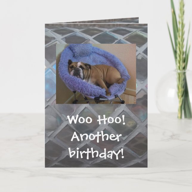 Funny English Bulldog Birthday Card (Front)