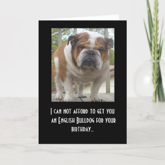 Funny English Bulldog Birthday Card