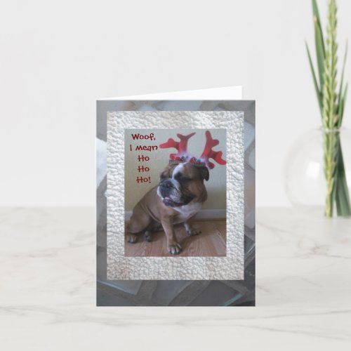 Funny English bulldog Christmas card Holiday Card