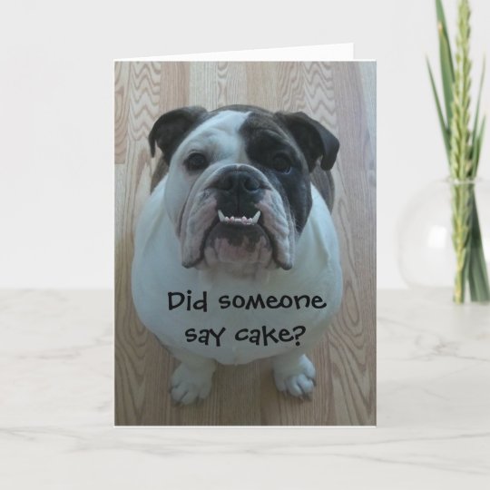 Funny English bulldog Happy Birthday Card