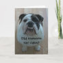 Funny English bulldog Happy Birthday Card