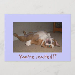 Funny English Bulldog Invitations