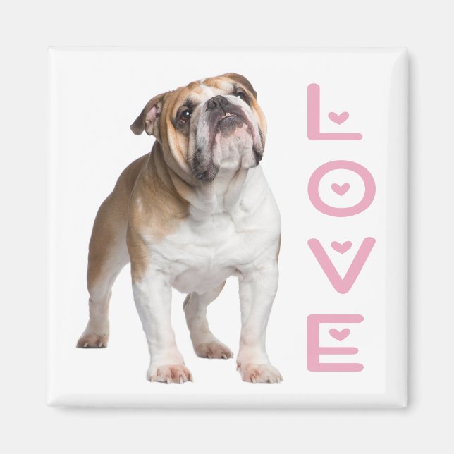 Funny English Bulldog Mom Love Puppy Dog  Magnet (Front)