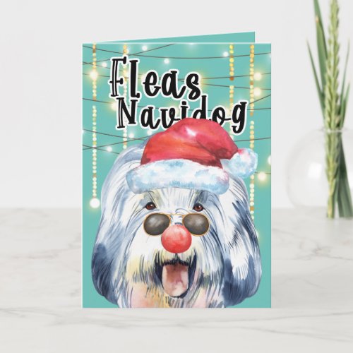 Funny English Sheepdog Christmas fleas navidog Card