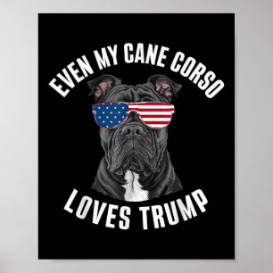 Funny Even My Cane Corso Loves Trump Political Poster