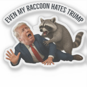 Funny Even My Raccoon Loves Trump 2025 Anti-Trump Sticker