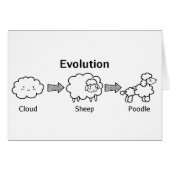 Funny evolution of cloud into sheep and poodle (Front Horizontal)
