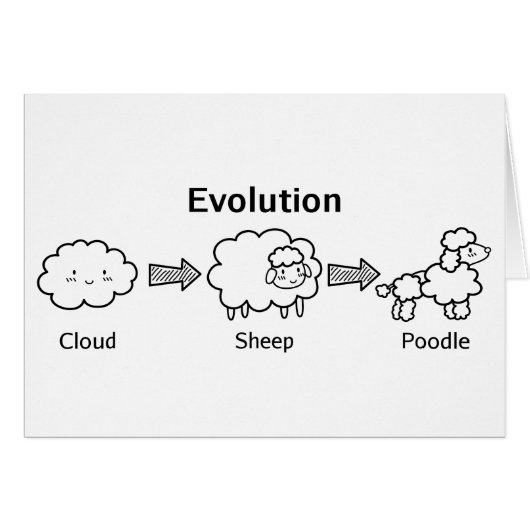 Funny evolution of cloud into sheep and poodle cards (Front Horizontal)