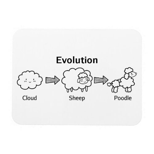 Funny evolution of cloud into sheep and poodle magnet