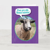 Funny Ewe Old Sheep Shot Birthday Card
